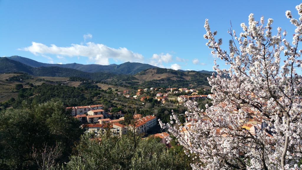 Chambres d'hôtes et gîtes Al Pati Sorède Exterior foto